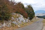     
: DSC_5322.jpg
: 69
:	219.7 
ID:	1494656