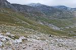     
: DSC_5357.jpg
: 186
:	265.8 
ID:	1494679