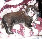     
: IMG_4683.JPG
: 66
:	143.0 
ID:	149545