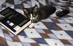     
: IMG_4786.jpg
: 55
:	80.7 
ID:	149546