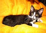     
: IMG_4880.JPG
: 46
:	106.1 
ID:	149548