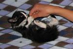     
: IMG_5082.JPG
: 65
:	70.1 
ID:	149550