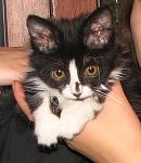     
: IMG_5057.JPG
: 65
:	142.7 
ID:	149552