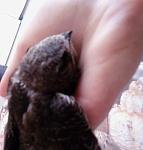     
: SP_A0022.jpg
: 52
:	30.5 
ID:	149827
