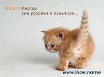     
: podborka_335_25.jpg
: 101
:	15.8 
ID:	149858