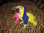     
: IMG_0139.jpg
: 82
:	190.5 
ID:	1500284