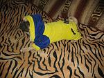     
: IMG_0141.jpg
: 77
:	200.2 
ID:	1500288