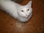     
: x_cd1ecb35.jpg
: 118
:	40.5 
ID:	1502116