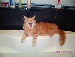     
: ssIMG_5831.jpg
: 129
:	111.4 
ID:	150835