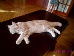     
: ssIMG_5842.jpg
: 329
:	95.5 
ID:	150876