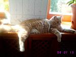     
: ssIMG_5794.jpg
: 393
:	90.7 
ID:	150877