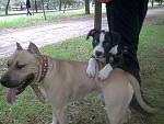     
: %D0%A4%D0%BE%D1%82%D0%BE001[1].jpg
: 17
:	201.2 
ID:	1512574