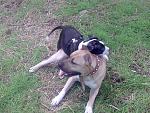     
: %D0%A4%D0%BE%D1%82%D0%BE004[1].jpg
: 15
:	251.4 
ID:	1512585