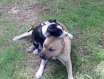     
: %D0%A4%D0%BE%D1%82%D0%BE012[1].jpg
: 25
:	181.1 
ID:	1512646
