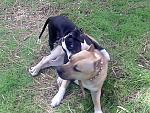     
: %D0%A4%D0%BE%D1%82%D0%BE013[1].jpg
: 17
:	158.8 
ID:	1512654