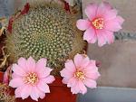     
: DSC02903.JPG
: 21
:	41.3 
ID:	151455