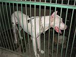     
: c00835e2346d.jpg
: 339
:	77.7 
ID:	152337