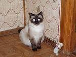     
: P1180069.JPG
: 24
:	43.9 
ID:	152350