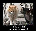     
: x_13c50108.jpg
: 91
:	59.5 
ID:	1526352
