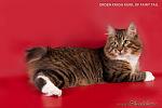     
: _DSC2391.jpg
: 66
:	94.3 
ID:	1526731