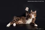     
: _DSC2549.jpg
: 55
:	67.1 
ID:	1526733