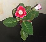     
: DSCF2274.jpg
: 34
:	125.3 
ID:	152858