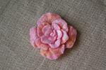     
: DSC02446.jpg
: 39
:	245.1 
ID:	1540258