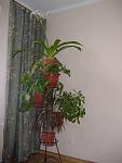     
:  2008-3 001_thumb.jpg
: 571
:	43.6 
ID:	154308