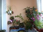     
:  2008-3 009_thumb.jpg
: 568
:	92.8 
ID:	154309