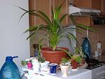     
:  2008-3 013_thumb.jpg
: 458
:	76.6 
ID:	154311
