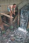     
: waterfall.jpg
: 131
:	56.7 
ID:	154417