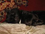     
: IMG_1544.JPG
: 18
:	60.7 
ID:	154983