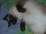     
: P1150050.JPG
: 28
:	22.5 
ID:	155185