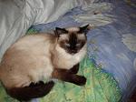     
: P1240010.JPG
: 27
:	40.5 
ID:	155186