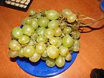     
: DSC09352.jpg
: 38
:	170.3 
ID:	1559607