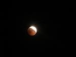     
: P8160728.jpg
: 146
:	16.9 
ID:	156318