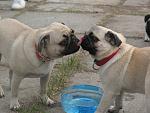    
: IMG_0236.jpg
: 48
:	137.6 
ID:	1565360