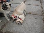     
: IMG_0210.jpg
: 52
:	153.3 
ID:	1565372