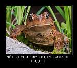     
: tmpaAWoYF.jpg
: 61
:	75.9 
ID:	1568045
