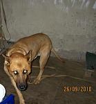     
: F5290B7F-9156-4EAA-B0BA-42F1F4E47E2E.jpg
: 67
:	115.0 
ID:	1568833