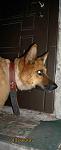     
: 00BA1494-A0E6-441E-9E35-E1F9EF5BA6D4.jpg
: 57
:	61.5 
ID:	1568836