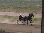     
: horse2.jpg
: 16
:	94.9 
ID:	157442