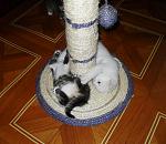    
: SDC11939.jpg
: 21
:	153.5 
ID:	1579428