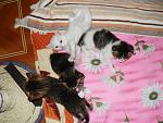     
: SDC11933.jpg
: 23
:	143.9 
ID:	1579447