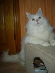     
: x_1fee2e79.jpg
: 38
:	40.5 
ID:	1587733