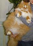     
: DSC06268-.jpg
: 66
:	126.4 
ID:	1589499