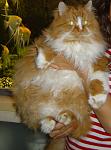     
: DSC08162.jpg
: 65
:	81.3 
ID:	1589503