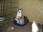     
: x_0869a9d9.jpg
: 78
:	53.8 
ID:	159014