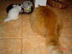     
: x_b267fa0e.jpg
: 63
:	43.8 
ID:	1591003