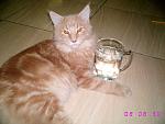     
: sIMG_6073.jpg
: 193
:	87.3 
ID:	159366